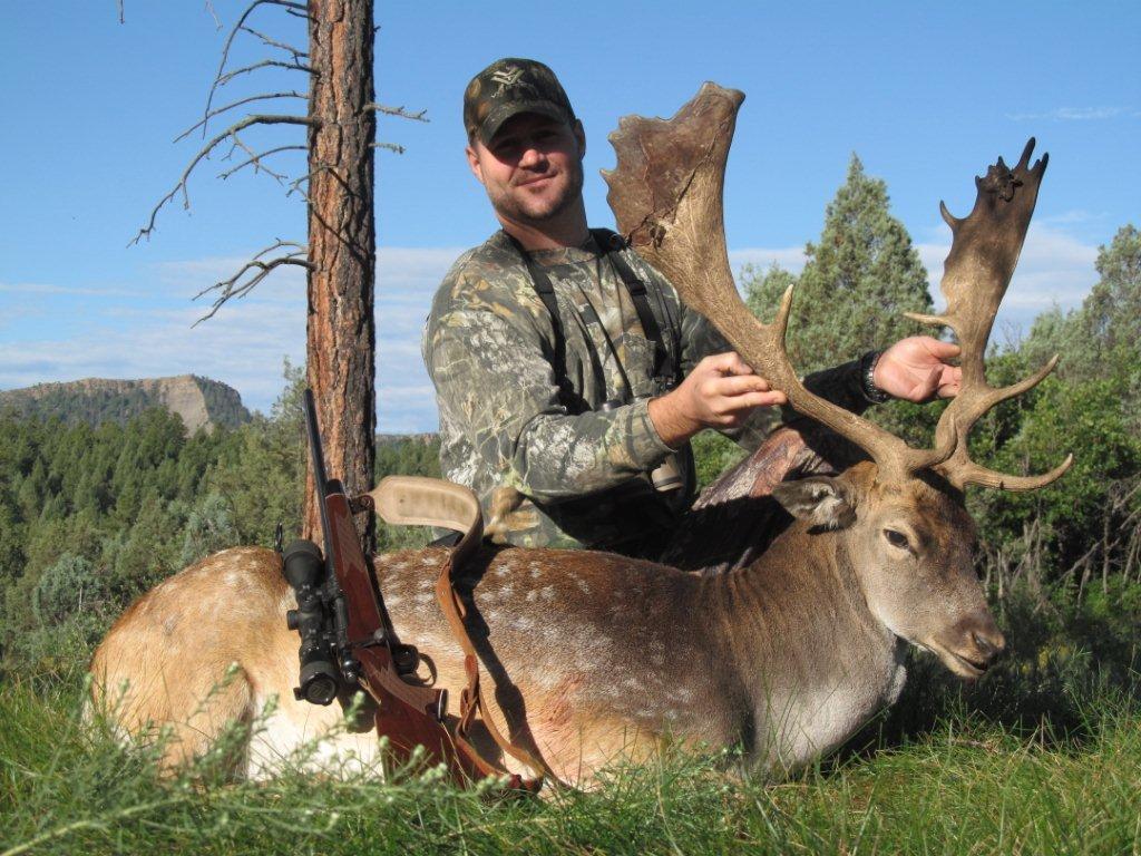 What Big Game Can You Hunt In Colorado Toozla Llc